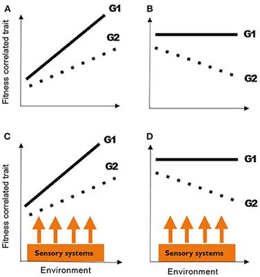 Sensory System Responses to Human-Induced Environmental Change